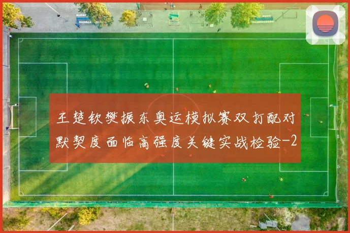 王楚钦樊振东奥运模拟赛双打配对默契度面临高强度关键实战检验
