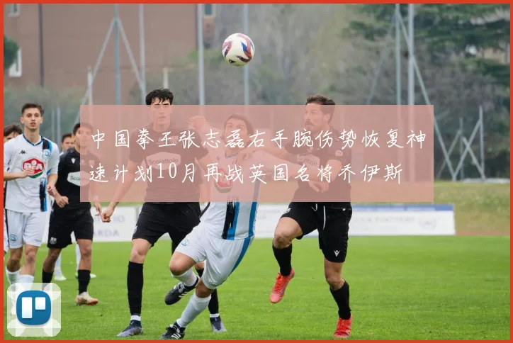 中国拳王张志磊右手腕伤势恢复神速计划10月再战英国名将乔伊斯