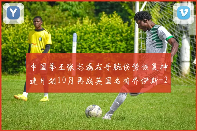 中国拳王张志磊右手腕伤势恢复神速计划10月再战英国名将乔伊斯